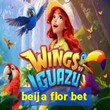 beija flor bet